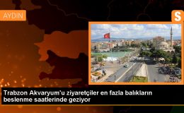 Trabzon Akvaryumunda Dalgıçlar Köpek Balıklarını Besliyor